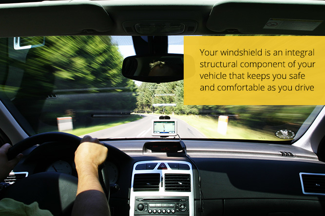 your windshield can save your life in an auto accident